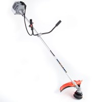 motoguadana-shizen-mu-33